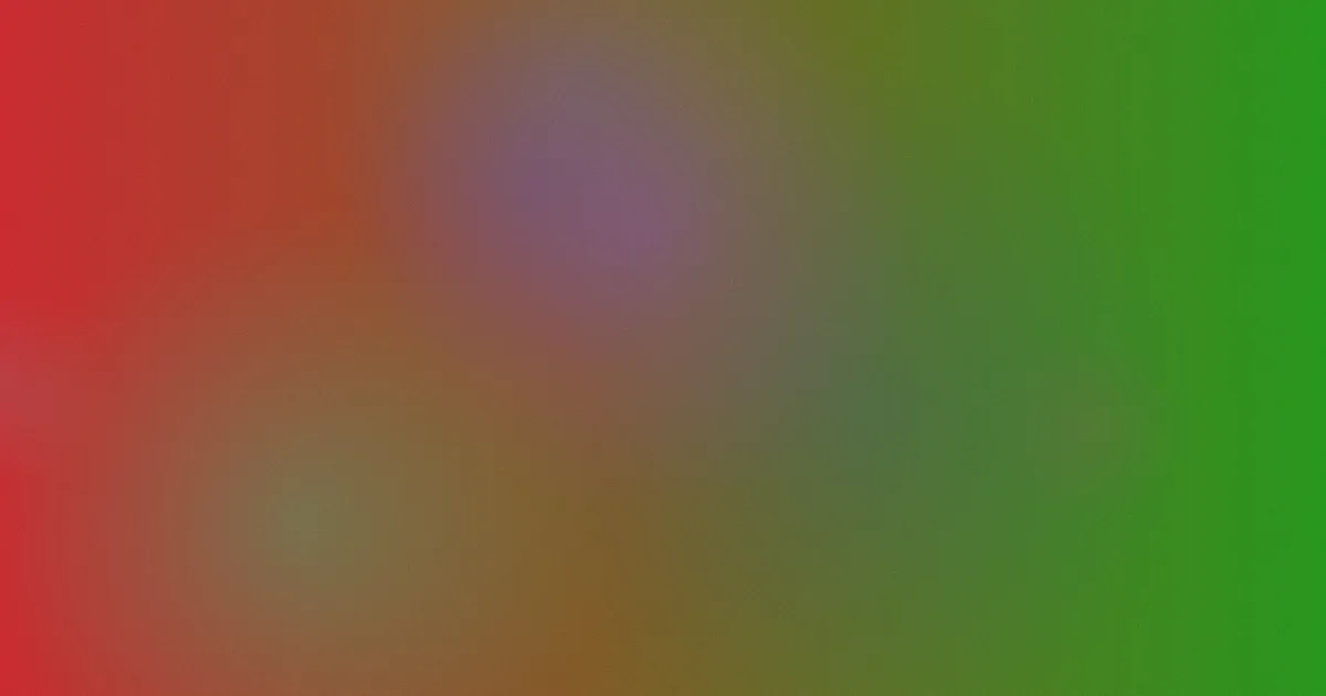 玩具熊值得吗？先看这张判断清单